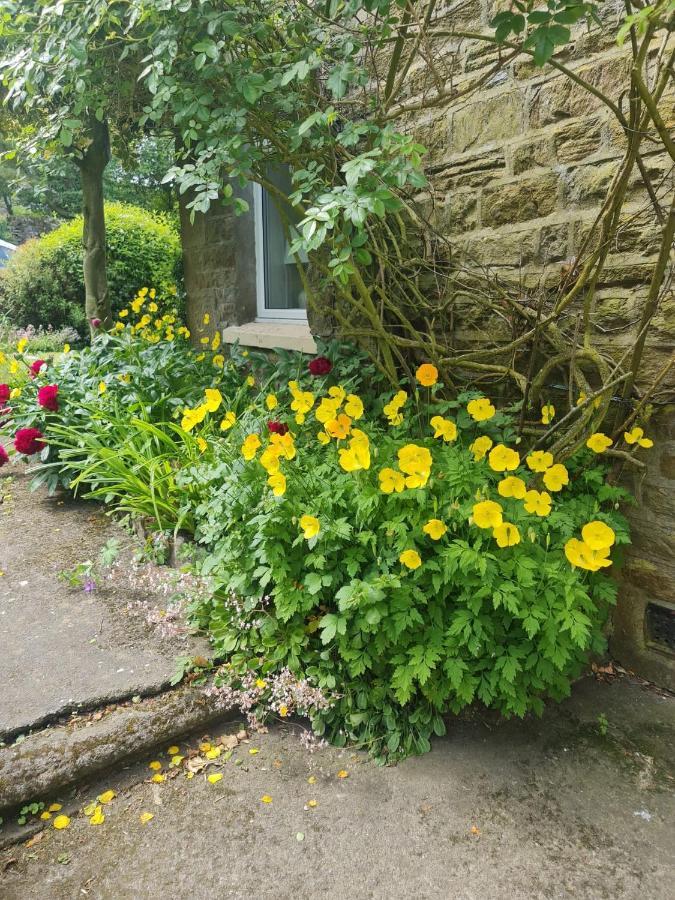 Mayfield Cottage Burtree Ford Kültér fotó