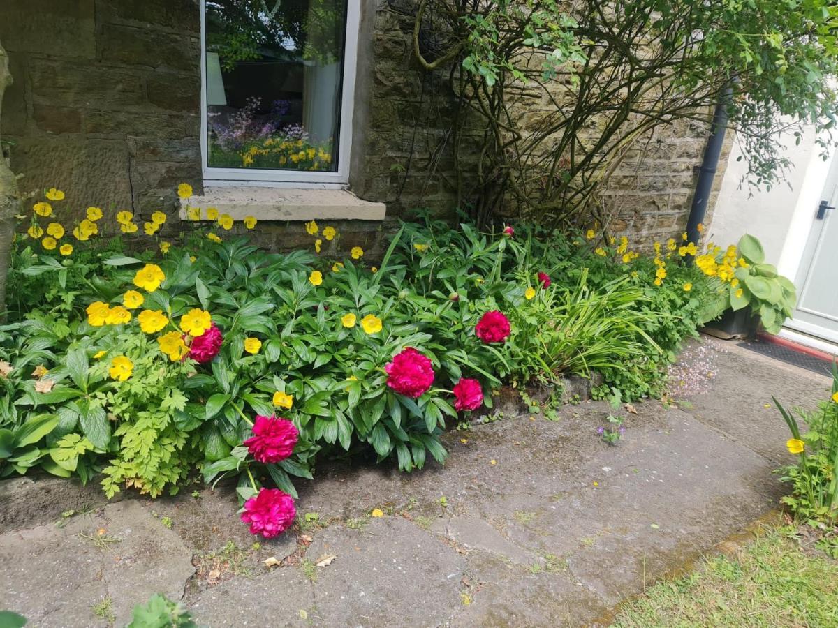Mayfield Cottage Burtree Ford Kültér fotó