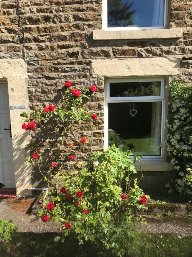 Mayfield Cottage Burtree Ford Kültér fotó